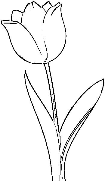 Printable Tulip clip art black and white for Coloring Page for kids.