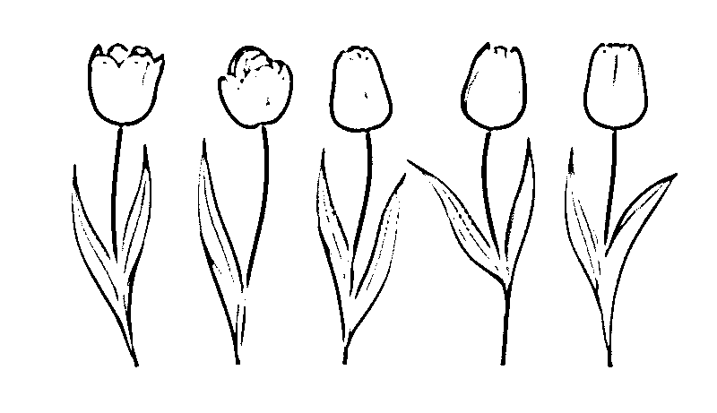 Printable tulips clipart outline black and white 94cb649a Coloring Page for kids.
