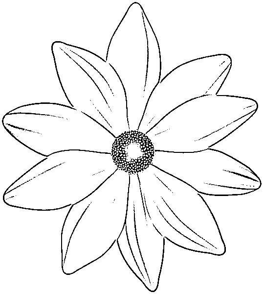 Printable Flowering drawing, Flower Sketch Coloring Page for kids.