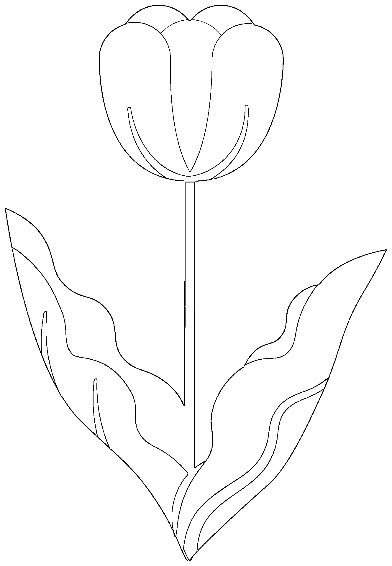 Printable tulip clipart black and white Coloring Page for kids.