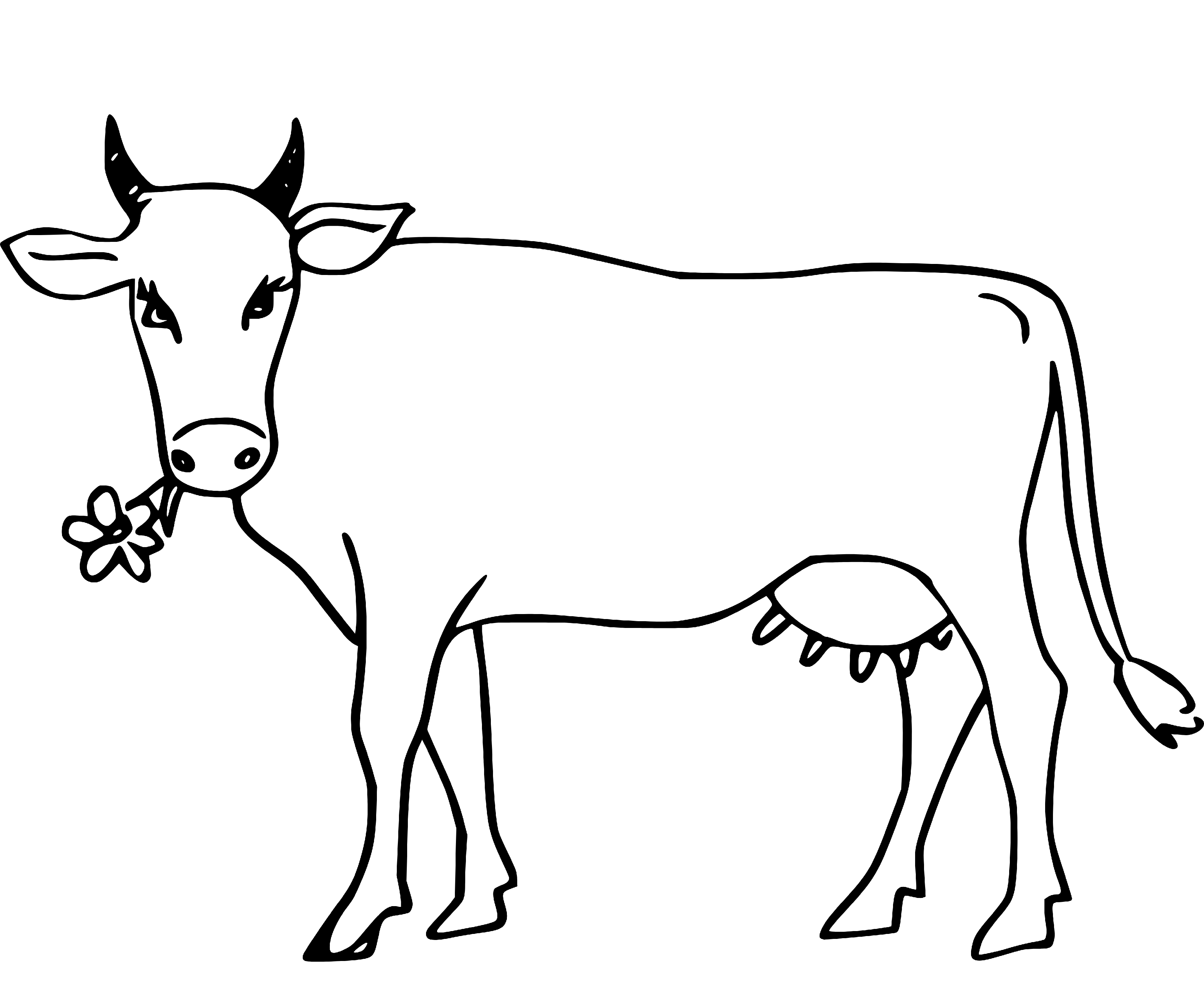 Cow eating flower Coloring Page Printable for Kids, Free, Simple and Easy, as PDF