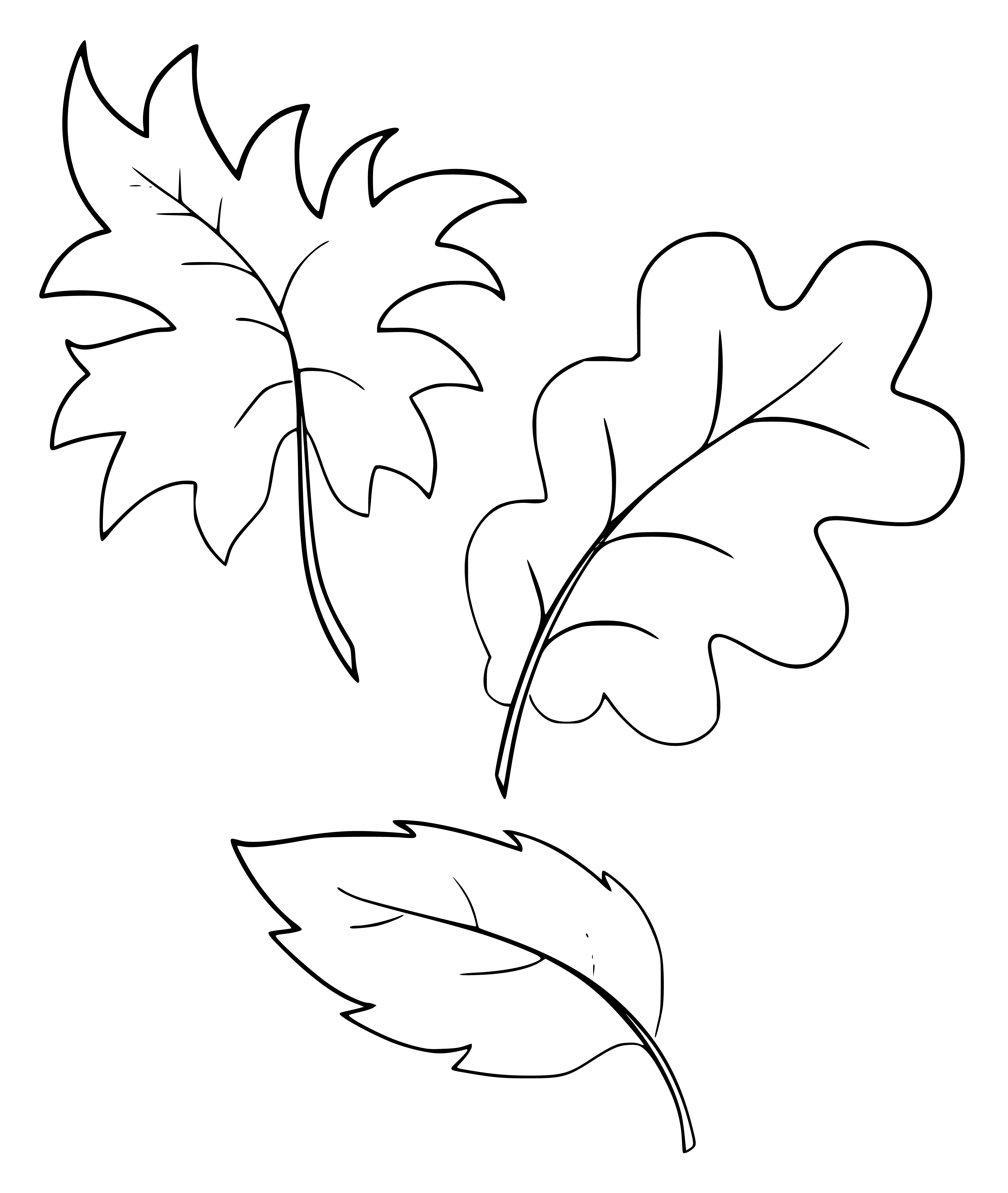 Printable Different Types of Leaves Coloring Page for kids.