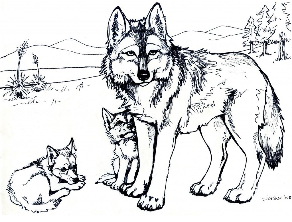 Printable Wolves sketch black and white Coloring Page for kids.