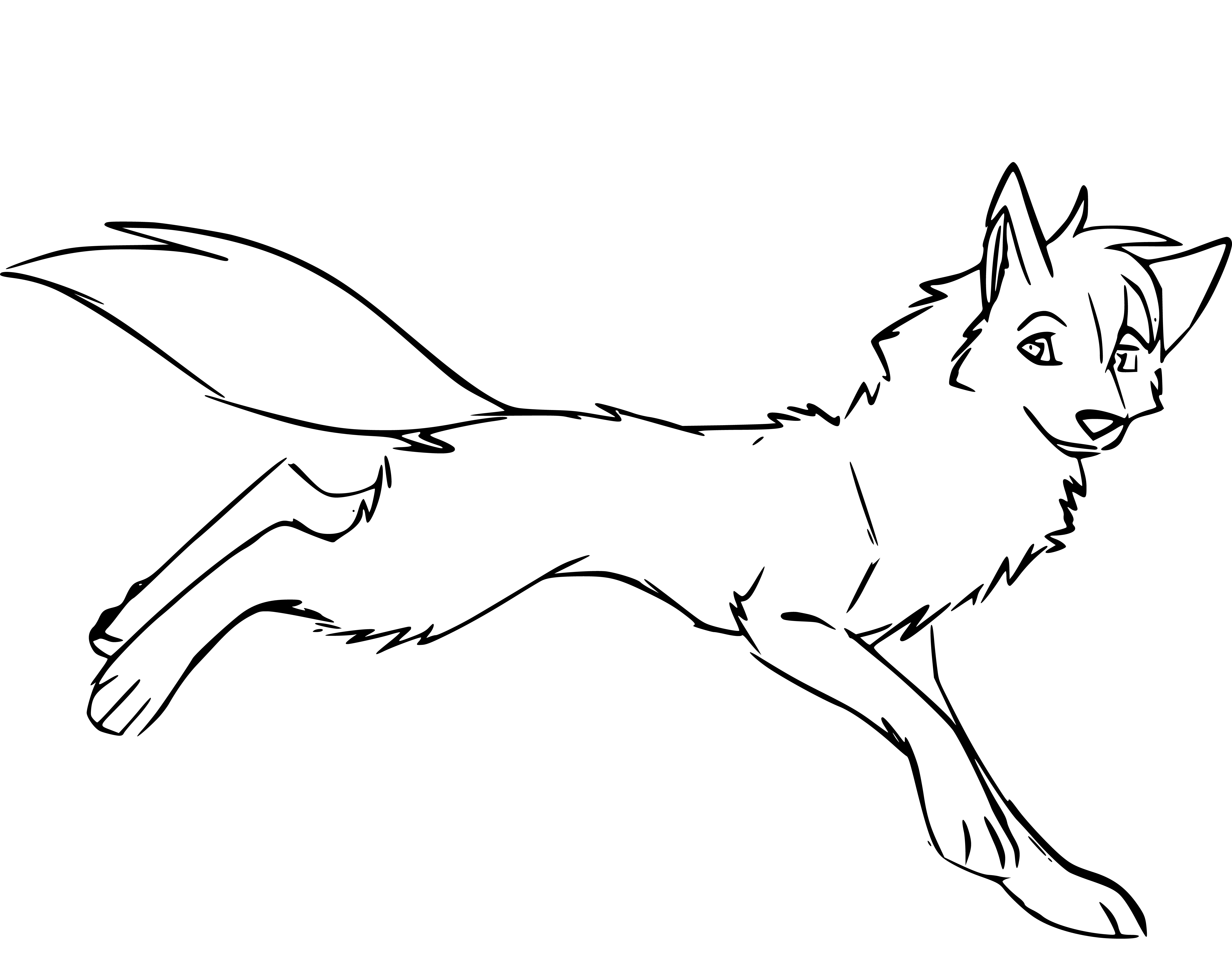 Printable Wolf running Coloring Page for kids.