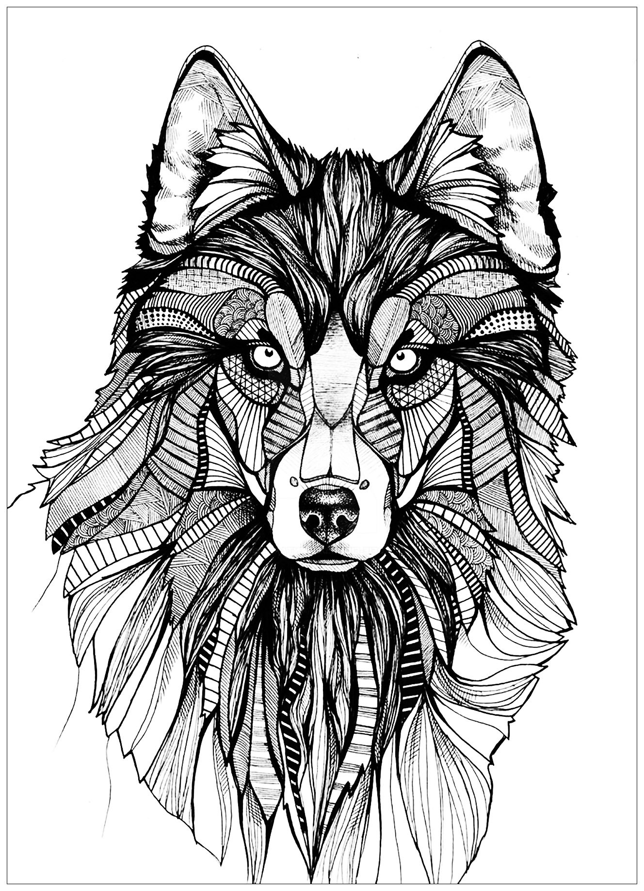 Printable Wolf outline for adults Coloring Page for kids.